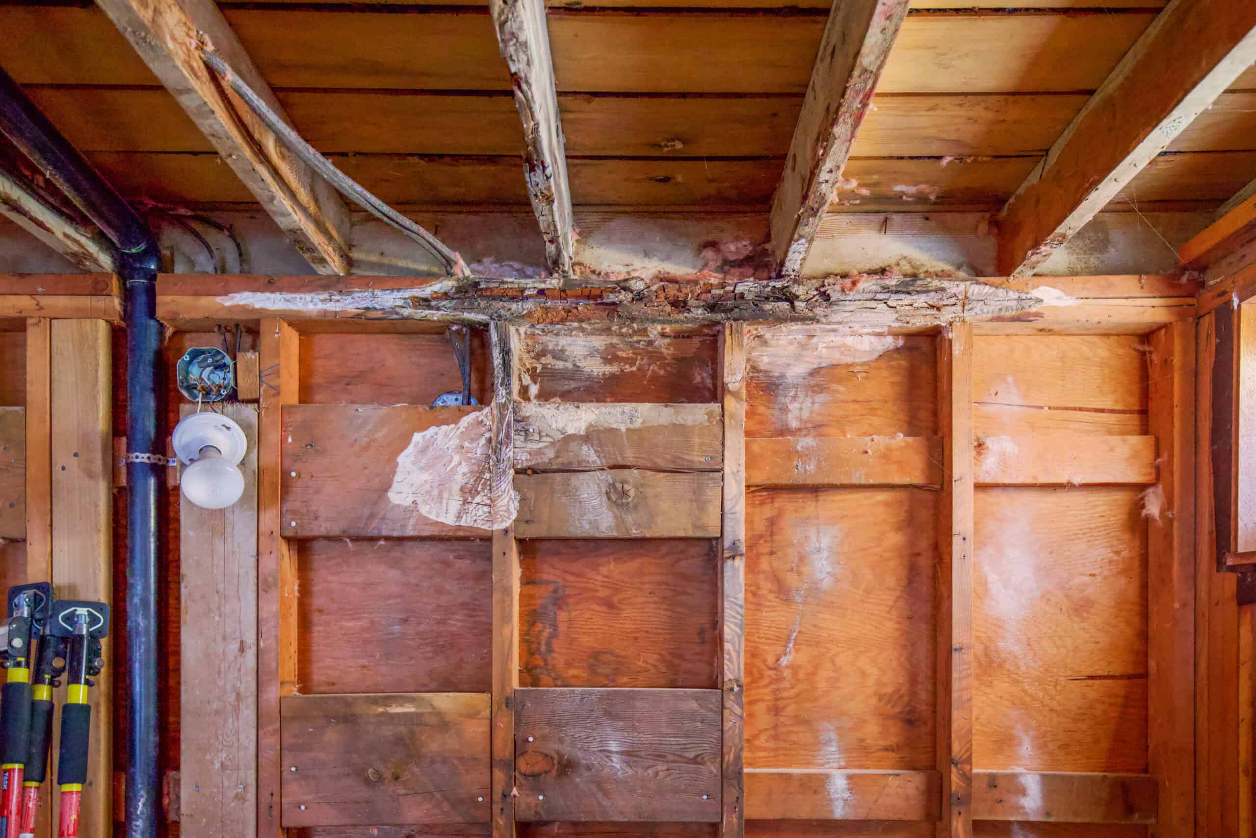 Interior wall framing and damage repair in Tustin home.